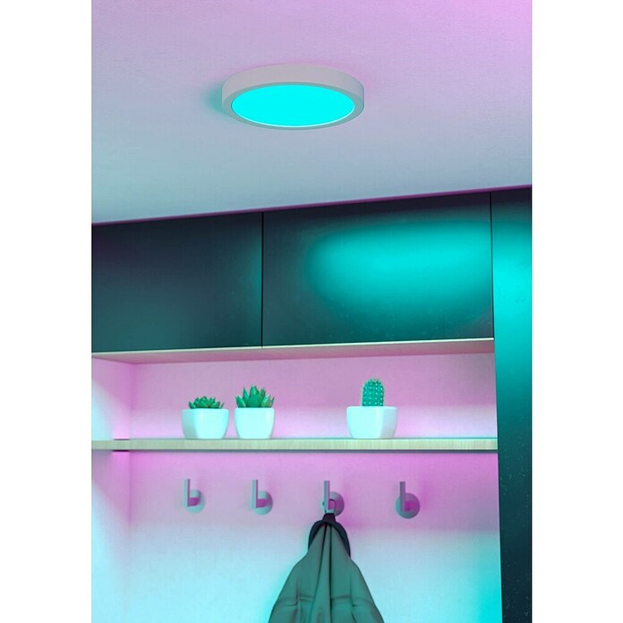 Eglo connect.z Okrogel LED panel Fueva 6-Z  (11,2 W, Ø x V: 21 x 2,5 cm, Barva svetlobe: RGBW) | 3016 - Deckenleuchte | CACB - Deckenleuchten | CAC - Indoorleuchten | CA - Beleuchtung | C - Elektro | BAUHAUS