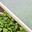 Windhager Gitterfolie (L x B: 6 x 2 m, Weiß)