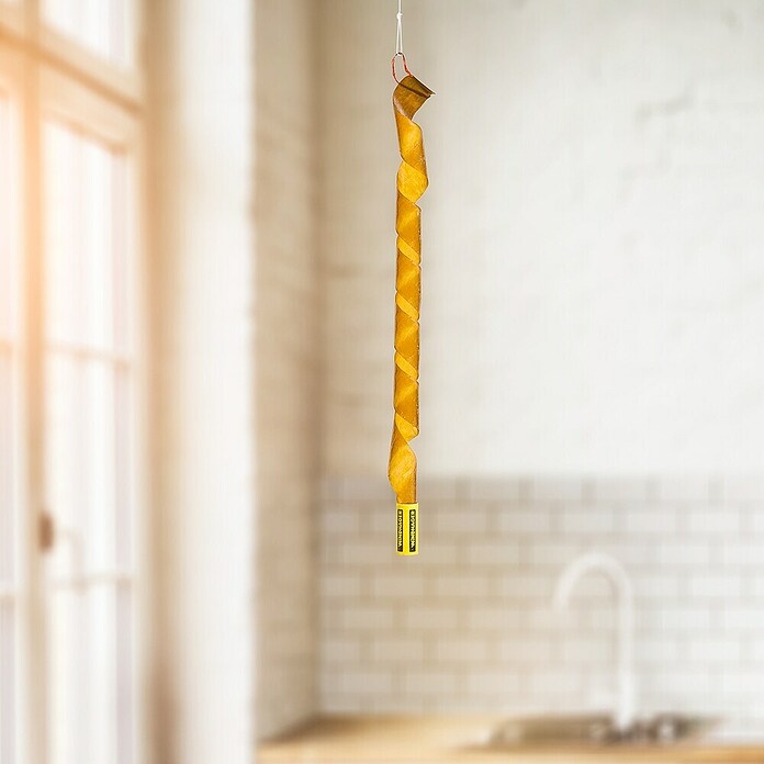 Windhager Fliegenfänger mit Naturleim (4 Stk.) | BAUHAUS