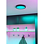 Eglo connect.z Okrogel LED panel Fueva 6-Z  (11,2 W, Ø x V: 21 x 2,5 cm, Barva svetlobe: RGBW) | 3016 - Deckenleuchte | CACB - Deckenleuchten | CAC - Indoorleuchten | CA - Beleuchtung | C - Elektro | BAUHAUS