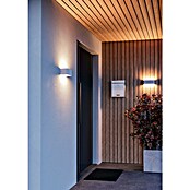 Eglo LED zunanja stenska svetilka Sania-Z  (10 W, 20 x 20 x 8 cm, Bela, IP20) | 3018 - Wandleuchte | CACC - Wandleuchte | CAC - Indoorleuchten | CA - Beleuchtung | C - Elektro | BAUHAUS