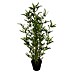 Planta artificial Bambú 
