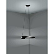 Eglo LED-Pendelleuchte rund Andabaia-Z (42,5 W, Ø x H: 60 x 154 cm, Schwarz, Kaltweiß) | BAUHAUS