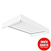Palram – Canopia Marquesina para puerta Sophia (160 x 95 x 17 cm, Blanco, Color del techo: Blanco opal) | BAUHAUS