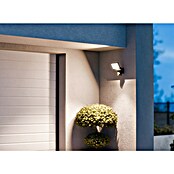 Steinel LED-Strahler CAM 2 SC (21 W, 2 310 lm, 3 000 K, IP44) | BAUHAUS