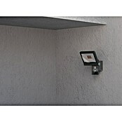 Steinel LED-Strahler CAM 2 SC (21 W, 2 310 lm, 3 000 K, IP44) | BAUHAUS