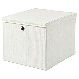 Dolle Caja con tapa Softbox (L x An x Al: 385 x 360 x 320 mm, Polipropileno, Blanco)