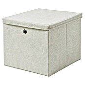 Dolle Caja con tapa Softbox (L x An x Al: 385 x 360 x 320 mm, Polipropileno, Beige) | BAUHAUS