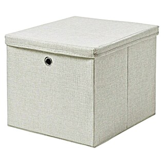 Dolle Caja con tapa Softbox (L x An x Al: 385 x 360 x 320 mm, Polipropileno, Beige)