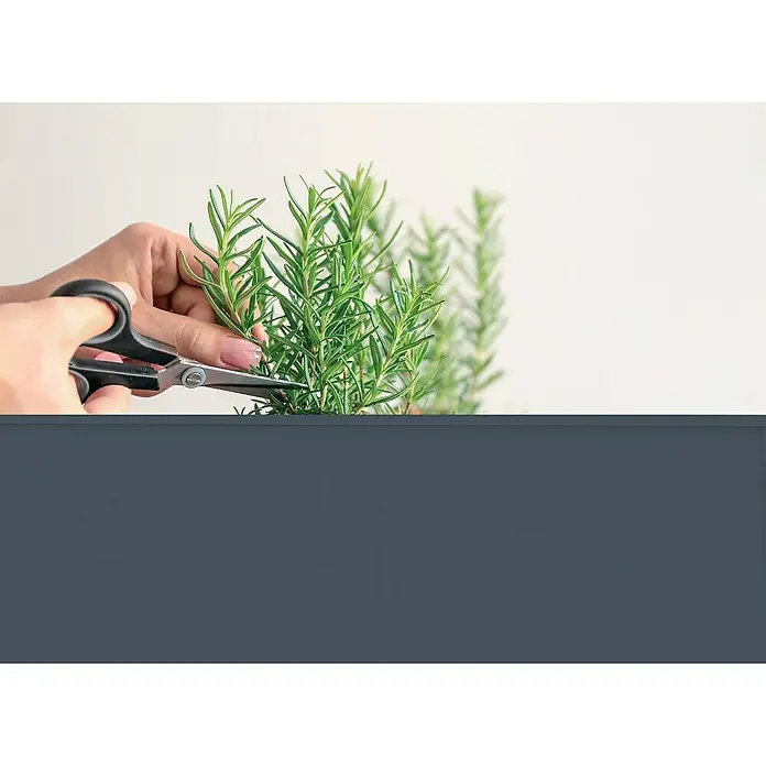 Herstera Garden Hochbeet - 100 x 40 x 84 cm, Metall, Anthrazit - Nahaufnahme einer Hand, die mit einer Schere frischen Rosmarin aus einem Topf schneidet, vor einem neutralen Hintergrund.