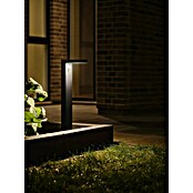 Nordlux Rica Estaca solar rendonda (4,5 W, Negro, IP44, 400 lm) | BAUHAUS