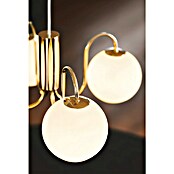 Nordlux Lámpara colgante Franca (160 W, Blanco, E14) | BAUHAUS