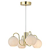 Nordlux Lámpara colgante Franca (160 W, Blanco, E14) | BAUHAUS