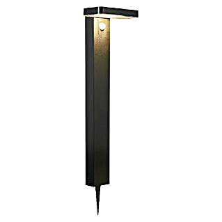 Nordlux Rica Estaca solar (4,5 W, Negro, IP44, 400 lm)