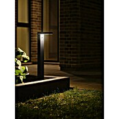 Nordlux Rica Estaca solar (4,5 W, Negro, IP44, 400 lm) | BAUHAUS