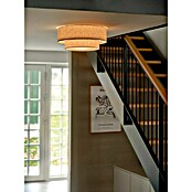 Nordlux Plafón redondo Malodin (40 W, Beige, E27) | BAUHAUS