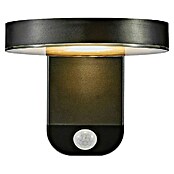 Nordlux Rica Aplique solar para exterior (4,5 W, L x An x Al: 18,2 mm x 15 cm x 12 cm, Negro, IP44, 450 lm, Redonda) | BAUHAUS