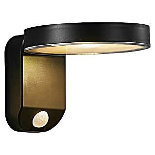 Nordlux Rica Aplique solar para exterior (4,5 W, L x An x Al: 18,2 mm x 15 cm x 12 cm, Negro, IP44, 450 lm, Redonda)