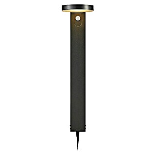 Nordlux Rica Estaca solar rendonda (4,5 W, Negro, IP44, 400 lm)