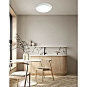 Ferotehna LED stropna svjetiljka ANNA  (24 W, Ø x V: 400 x 80 mm, Neutralno bijelo, LED) | BAUHAUS
