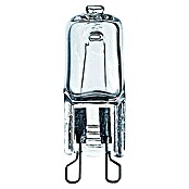 Osram Halopin Halogeenlamp Oven (25 W, G9, Warm wit) | BAUHAUS