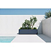 Herstera Garden Pflanzkasten Cube (Außenmaß (L x B x H): 100 x 50 x 50 cm, Metall, Anthrazit) | BAUHAUS