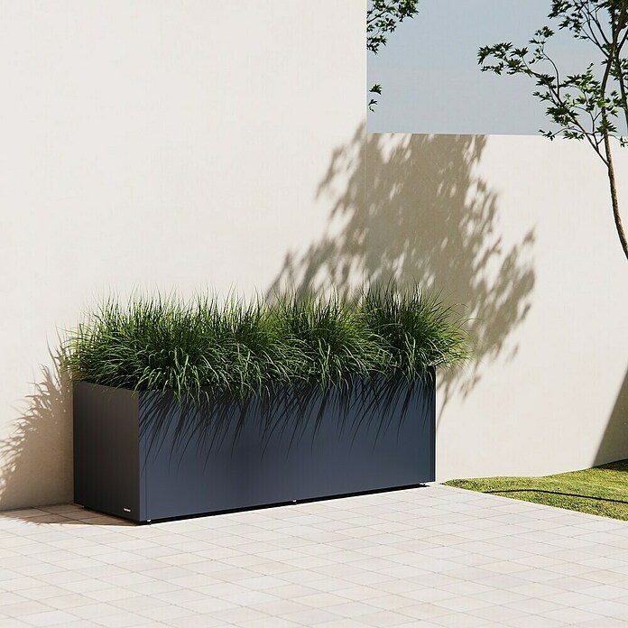 Herstera Garden Pflanzkasten Cube (Außenmaß (L x B x H): 150 x 50 x 50 cm, Metall, Anthrazit) | BAUHAUS