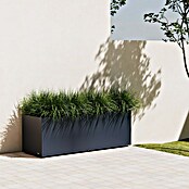 Herstera Garden Pflanzkasten Cube (Außenmaß (L x B x H): 150 x 50 x 50 cm, Metall, Anthrazit) | BAUHAUS