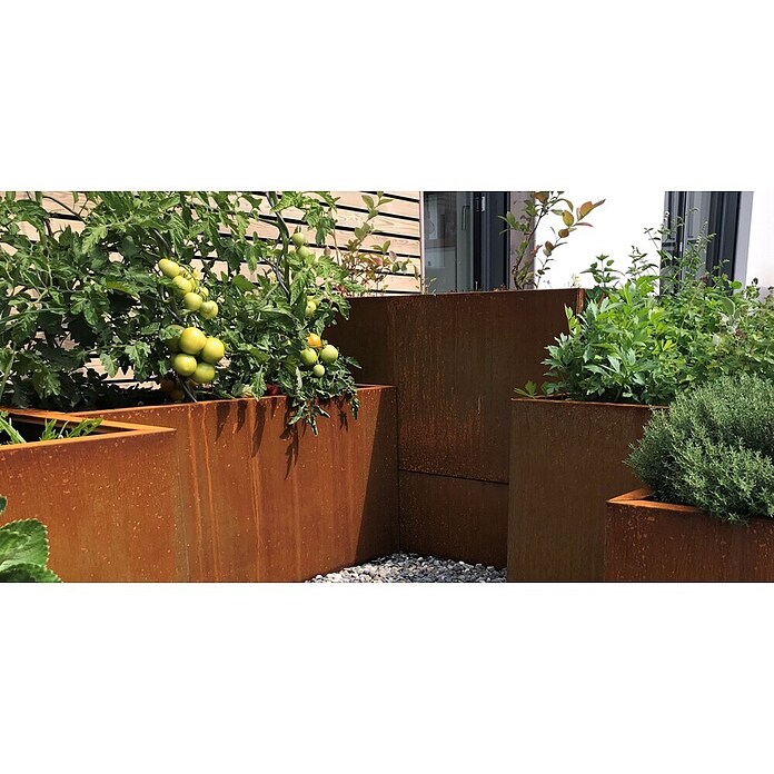 Palatino Exlusive Line Maceta (120 x 40 x 50 cm, Acero Corten, Rojo-pardo)