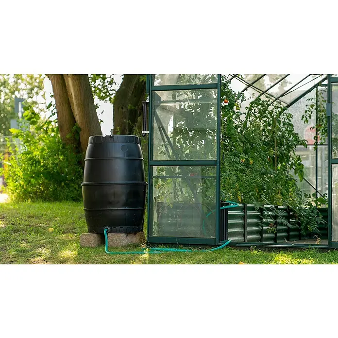 Pergart Regentonne mit Unterbau - 170 l, Anthrazit - Eine schwarze Regentonne steht neben einem Gewächshaus, verbunden mit einem grünen Schlauch zur Bewässerung der Pflanzen.