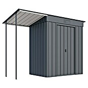 Globel Metallgerätehaus Skillion 64 (Außenmaß inkl. Dachüberstand (B x T): 257 x 113 cm) | BAUHAUS