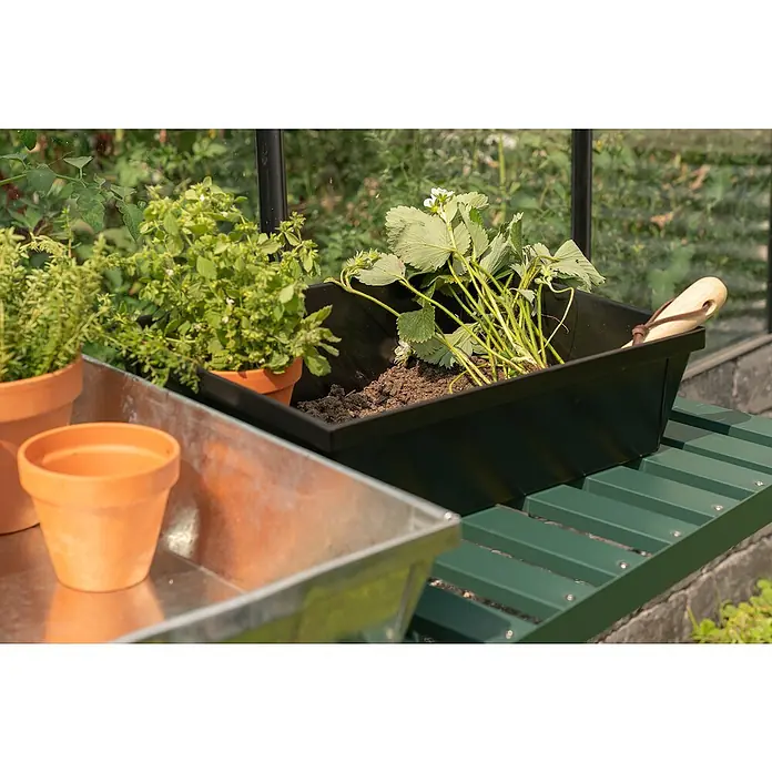 Pflanzschale eckig Pergart - L x B x H: 28,5 x 38,5 x 11,5 cm, Stahl, Schwarz - Ein dunkler Pflanzkasten mit Erdbeeren und eine Pflanzschale mit Kräutern auf einem grünen Gartentisch, ideal für Hobbygärtner.