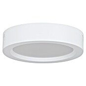 Eglo Foco downlight de superficie LED IDUN-E (8 W, Blanco neutro) | BAUHAUS
