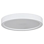 Eglo Foco downlight de superficie LED IDUN-E (15 W, Blanco frío) | BAUHAUS