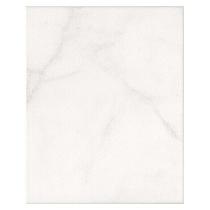 DryTile Wandfliese Marble (Hellgrau, Glänzend, L x B x S: 20 x 25 x 0,6 cm) | BAUHAUS