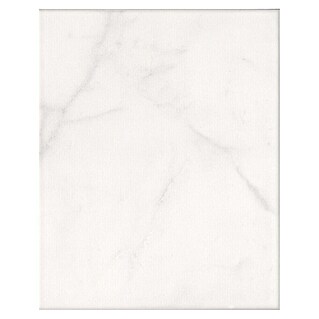 DryTile Wandfliese Marble (Hellgrau, Glänzend, L x B x S: 20 x 25 x 0,6 cm)