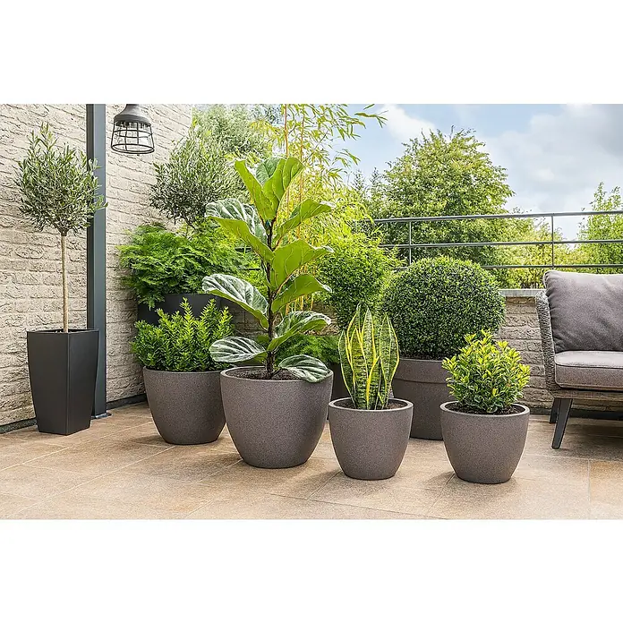 Geli Pflanztopf Rimini - Max. Außendurchmesser: 40 cm, Höhe: 31 cm, Kunststoff, Taupe - Nahaufnahme von verschiedenen Pflanzen in stilvollen Töpfen, die eine moderne Terrasse schmücken.\n