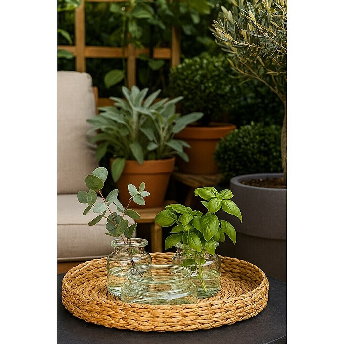 Cubremaceta redondo Mathew (Ø x Al: 24 x 10 cm, Transparente)