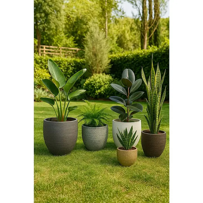 Mica Decorations Cubremaceta redondo Carrie - Dimensiones externas (Ø x Al): 29 x 26 cm, Champan metálico, Materiales naturales - Arreglos de plantas con diversas plantas en macetas sobre un césped al aire libre, creando un ambiente exuberante y natural.