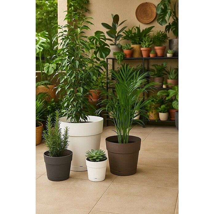 Deroma Save Maceta para planta (Dimensiones externas (Ø x Al): 20 x 18,1 cm, Plástico, Marrón) | BAUHAUS