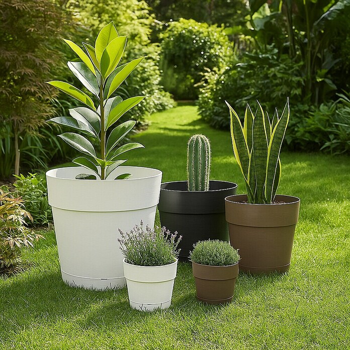 Deroma Save Maceta para planta (Dimensiones externas (Ø x Al): 20 x 18,1 cm, Plástico, Marrón) | BAUHAUS