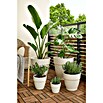Elho Vibia Campana Maceta para planta Vibia Campana (Dimensiones externas (Ø x Al): 35 x 29,7 cm, Plástico, Blanco) | BAUHAUS