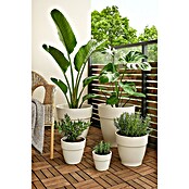 Elho Vibia Campana Maceta para planta Vibia Campana (Dimensiones externas (Ø x Al): 35 x 29,7 cm, Plástico, Blanco) | BAUHAUS