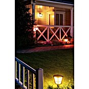 Philips Hue Led-sokkellamp (1 lampen, 15 W, Lichtkleur: Bont, IP44)
