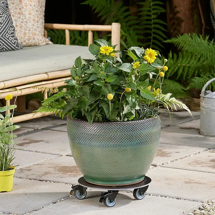 Wagner System Pflanzenroller HPL Black GH0629 - Schwarz, Max. Belastung: 100 kg - Der runde Pflanzenroller mit Rollen erleichtert das Bewegen schwerer Töpfe im Garten oder auf der Terrasse. Praktisch und robust!