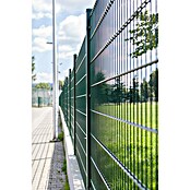 Mattenzaun Vega 2D (Grün, B x H: 2 500 x 2 030 mm, Stahl) | BAUHAUS