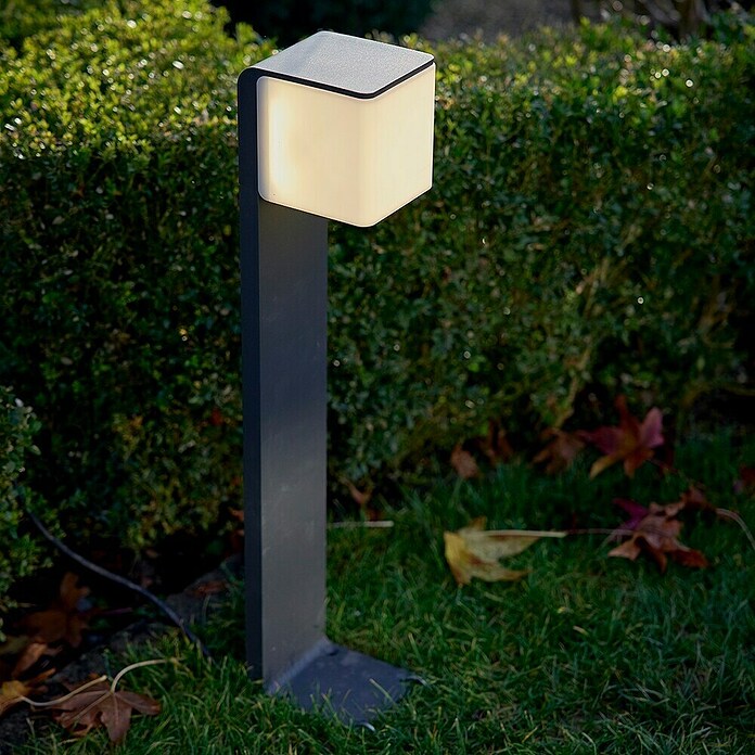 Steinel Sensor-LED-Außenwegeleuchte GL 80 LED iHF (9,5 W, Anthrazit, L x B x H: 13,2 x 11 x 63,25 cm)