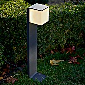 Steinel Sensor-LED-Außenwegeleuchte GL 80 LED iHF (9,5 W, Anthrazit, L x B x H: 13,2 x 11 x 63,25 cm)