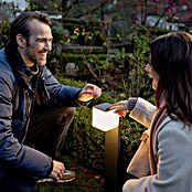 Steinel Sensor-LED-Außenwegeleuchte GL 80 LED iHF (9,5 W, Anthrazit, L x B x H: 13,2 x 11 x 63,25 cm)