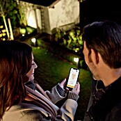 Steinel Sensor-LED-Außenwegeleuchte GL 80 LED iHF (9,5 W, Anthrazit, L x B x H: 13,2 x 11 x 63,25 cm)